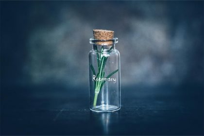 benefits of Rosemarry oil in hair
