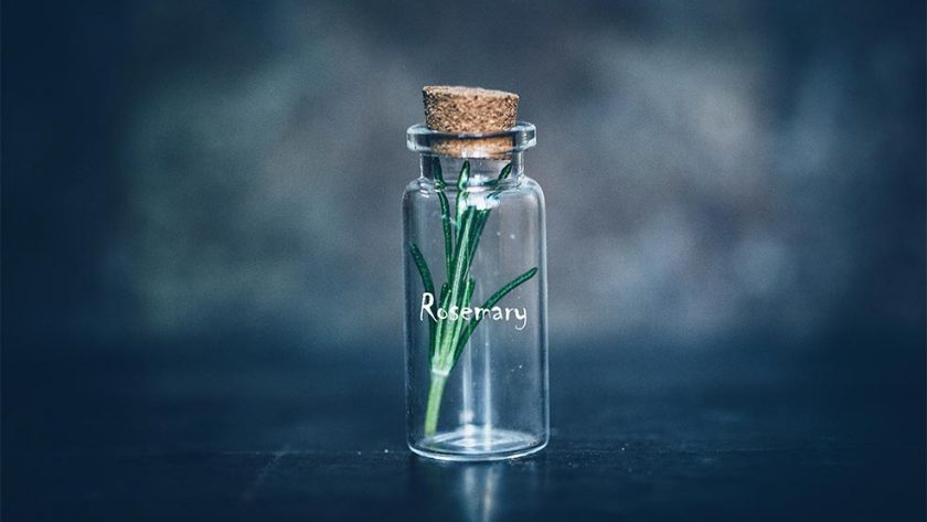 benefits of Rosemarry oil in hair